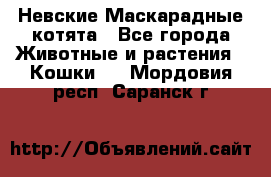 Невские Маскарадные котята - Все города Животные и растения » Кошки   . Мордовия респ.,Саранск г.